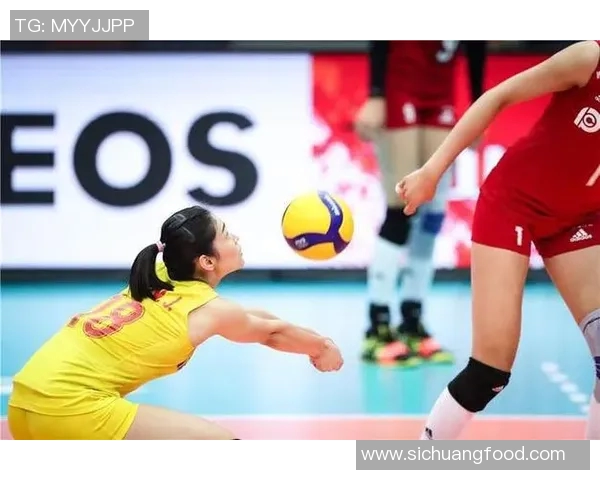 武汉排球队实力分析与数据解读揭示团队潜力与发展方向 武汉排球队实力分析与数据解读揭示团队潜力与发展方向