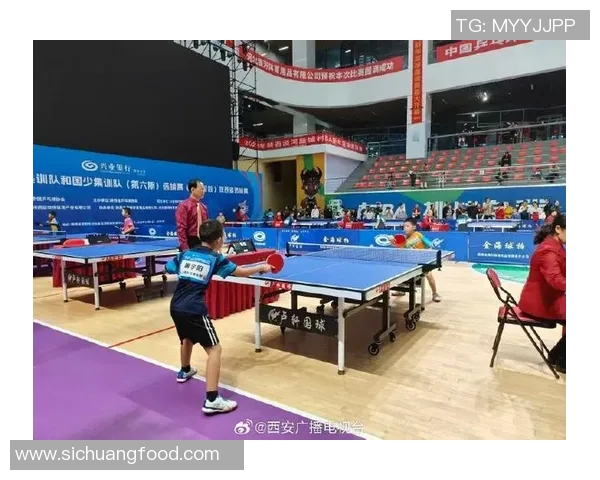 聚焦乒乓球：探讨西安乒乓球队在战术灵活性上的创新与实践