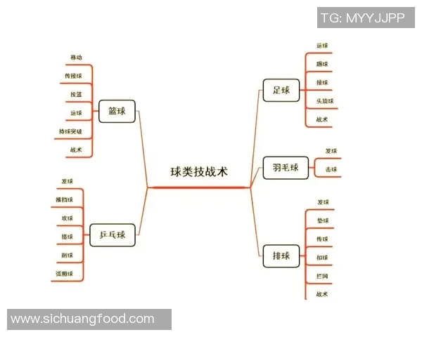 深圳排球队的节奏打法深度分析与战术解读