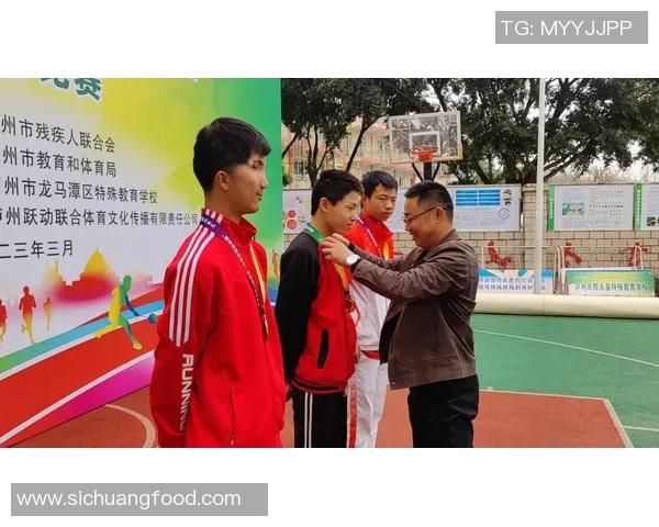 王芳的排球人生：从赛场拼搏到心灵对话的深度探索