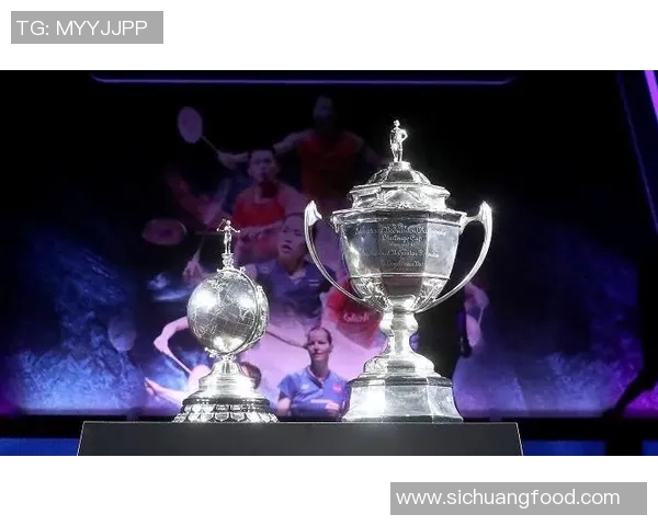 西安羽毛球队在大满贯赛事中的比赛经验与表现分析 西安羽毛球队在大满贯赛事中的比赛经验与表现分析