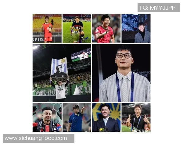 2023年韩综中最受欢迎的足球明星排名及其精彩表现分析