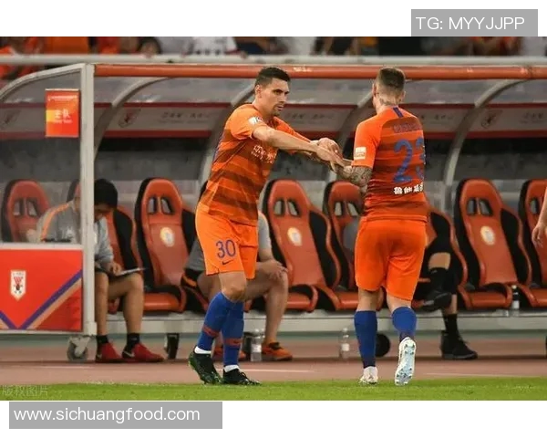 北京排球队耐力对比深度解析与训练策略探讨