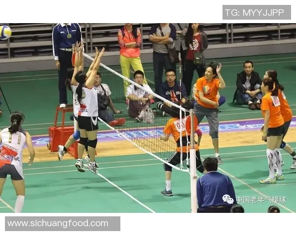 南京排球队耐力对比深度解析及其对比赛表现的影响分析 南京排球队耐力对比深度解析及其对比赛表现的影响分析