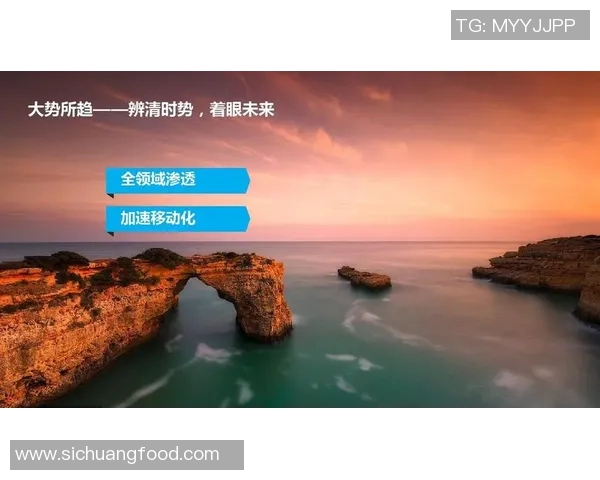 广州篮球队转型之路的挑战与机遇全景解析与未来展望 广州篮球队转型之路的挑战与机遇全景解析与未来展望